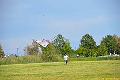 Venice kite festival_0603